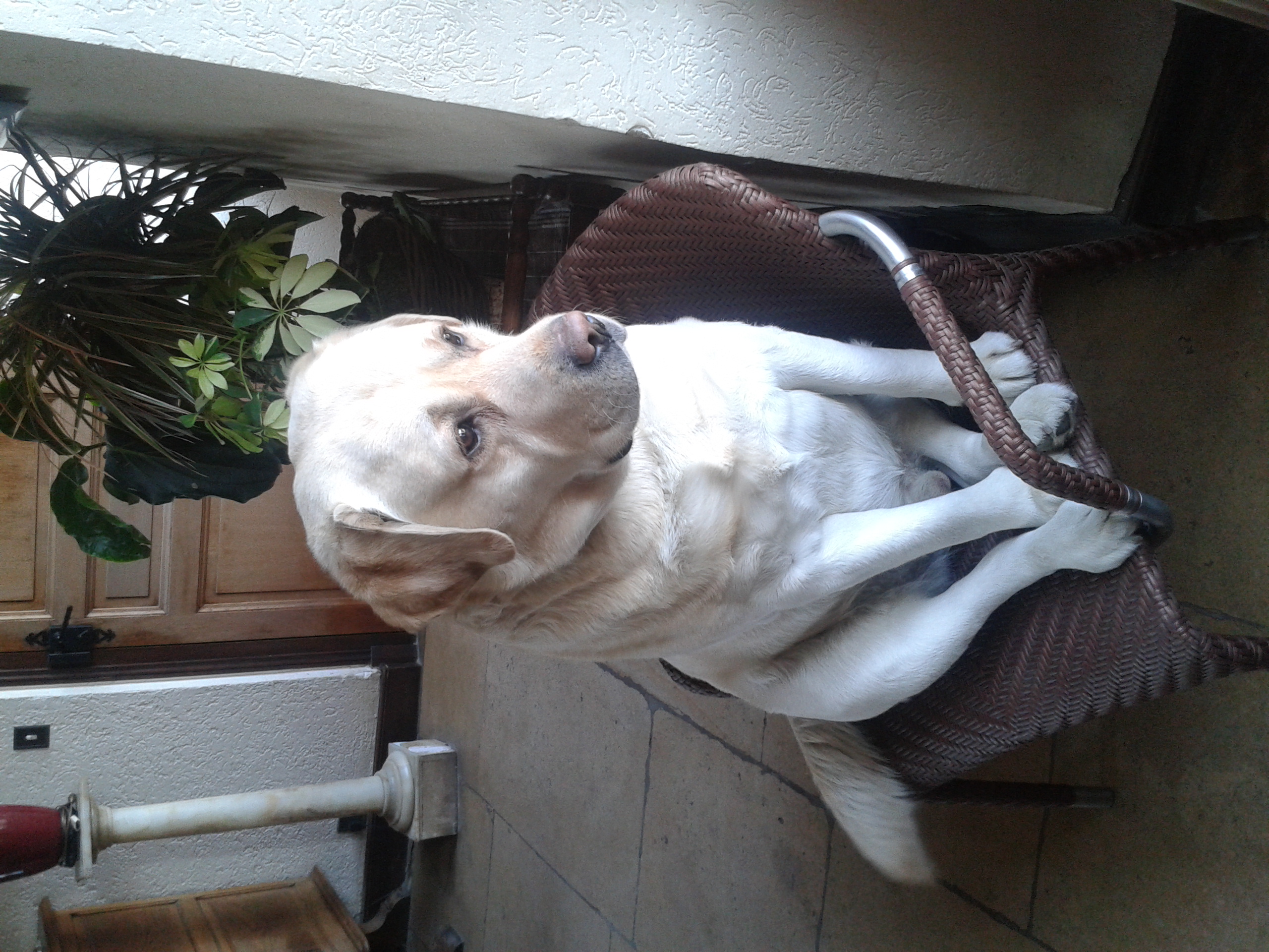 2013-04-02 18.08.43.jpg