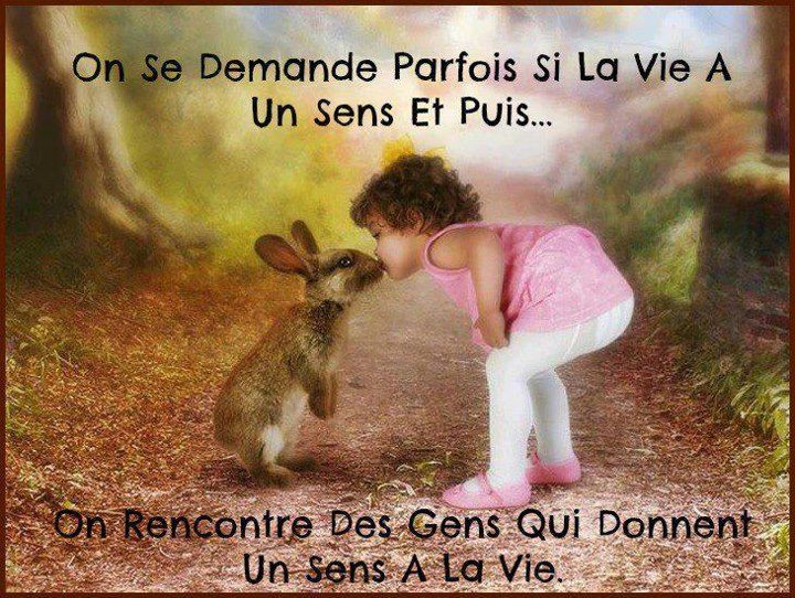Un sens a la vie.jpg