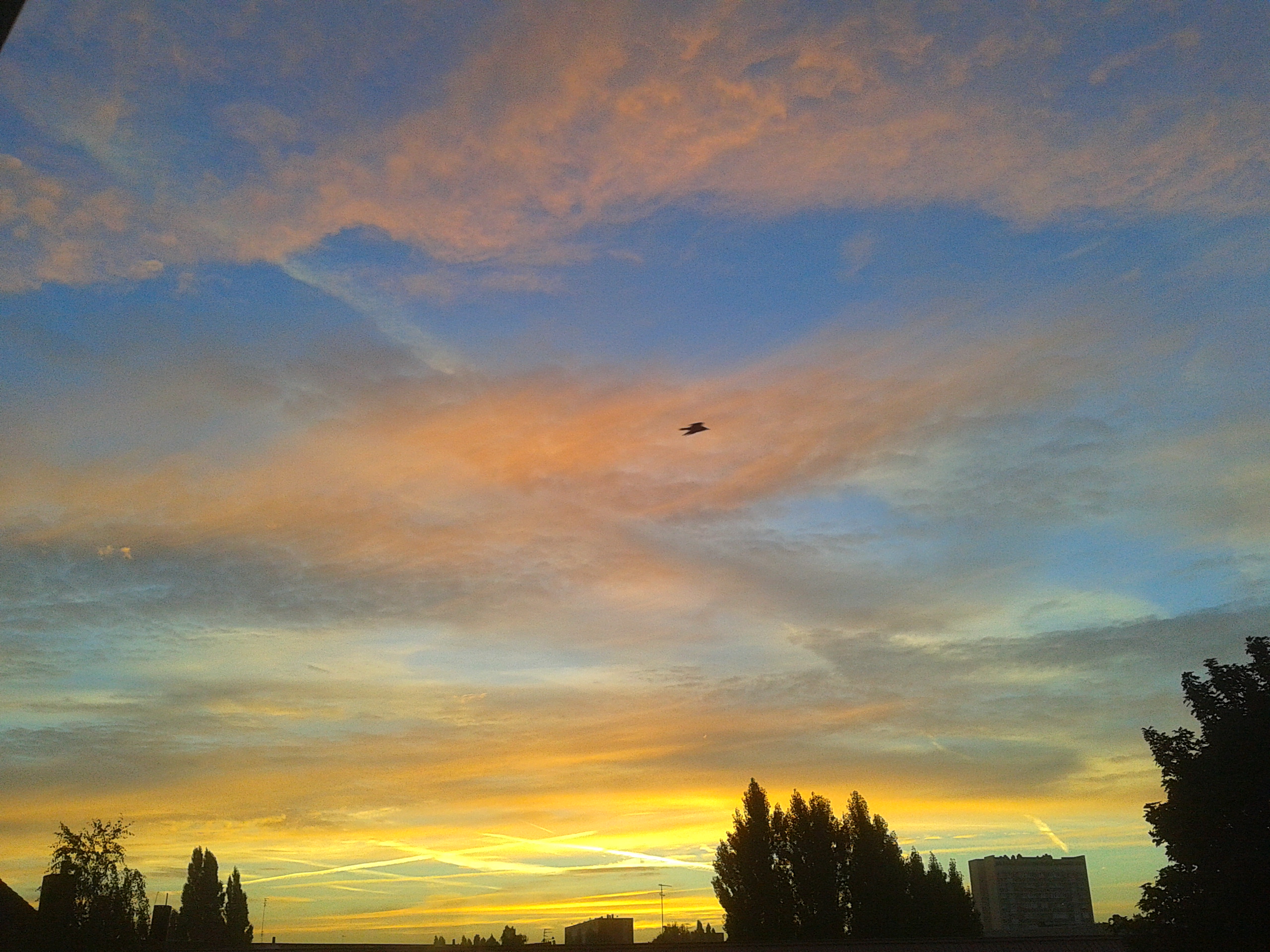 Lever de soleil 13.9. 2013 a 7H08 .jpg