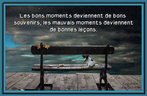 Les bons moments.jpg