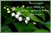 tn_muguet-message.jpg