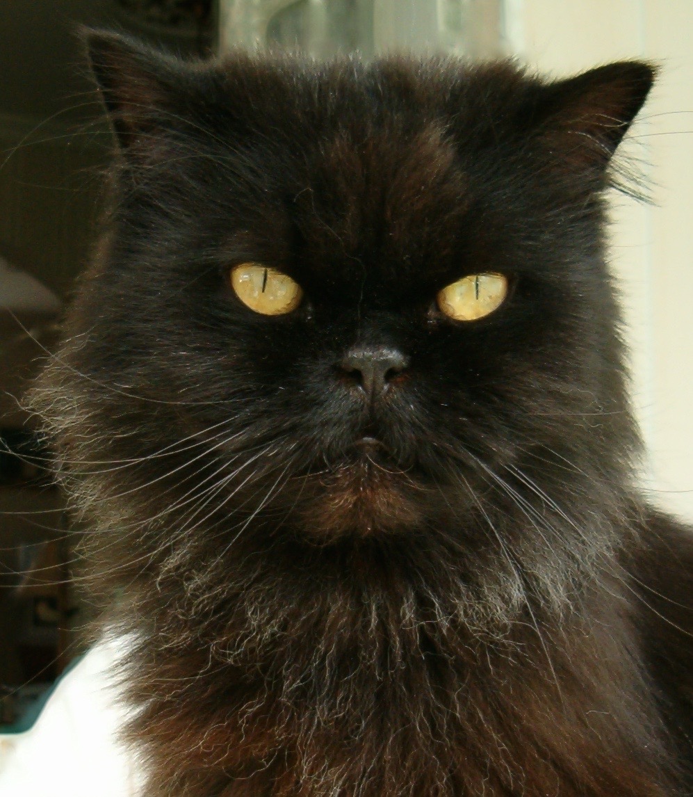 19.07.2004 Minou.jpg