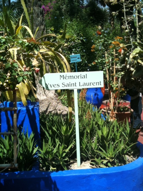 Maroc_jardinmajorelle.JPG