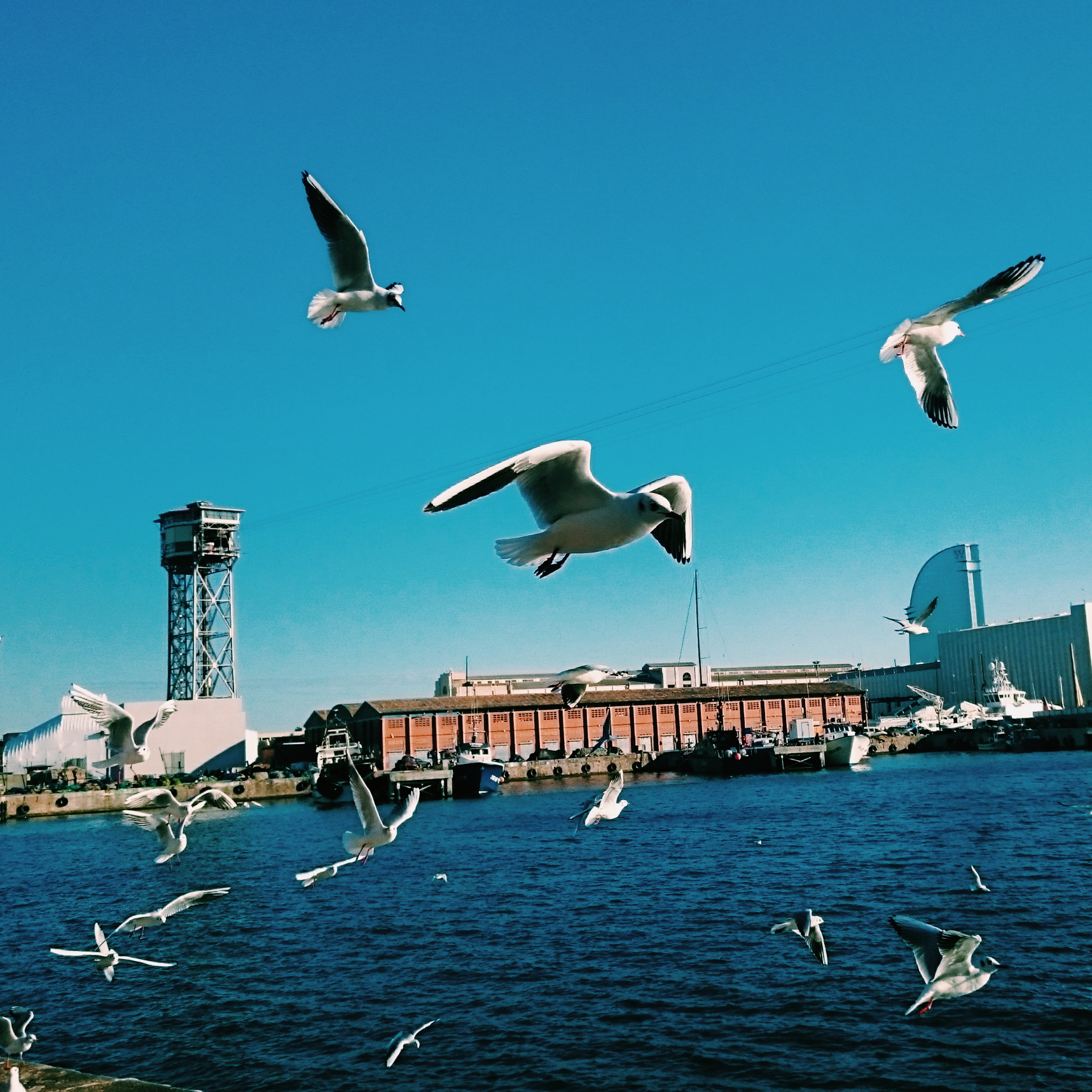 2015-12-31 06.07.00 1.jpg