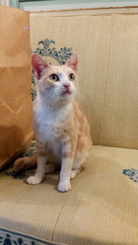 Pas bouger non mais.jpg