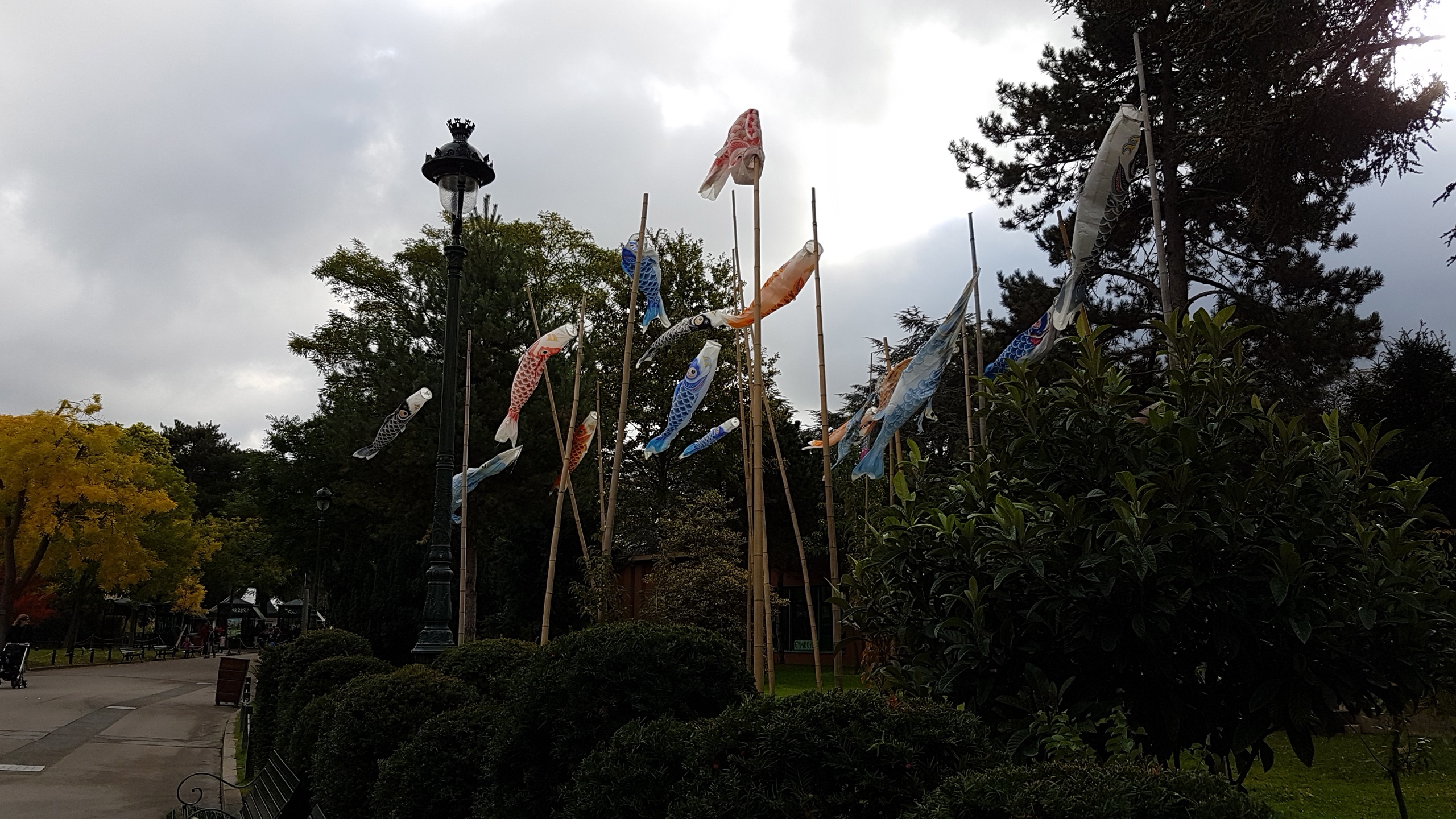 cerfs volants au vent .jpg