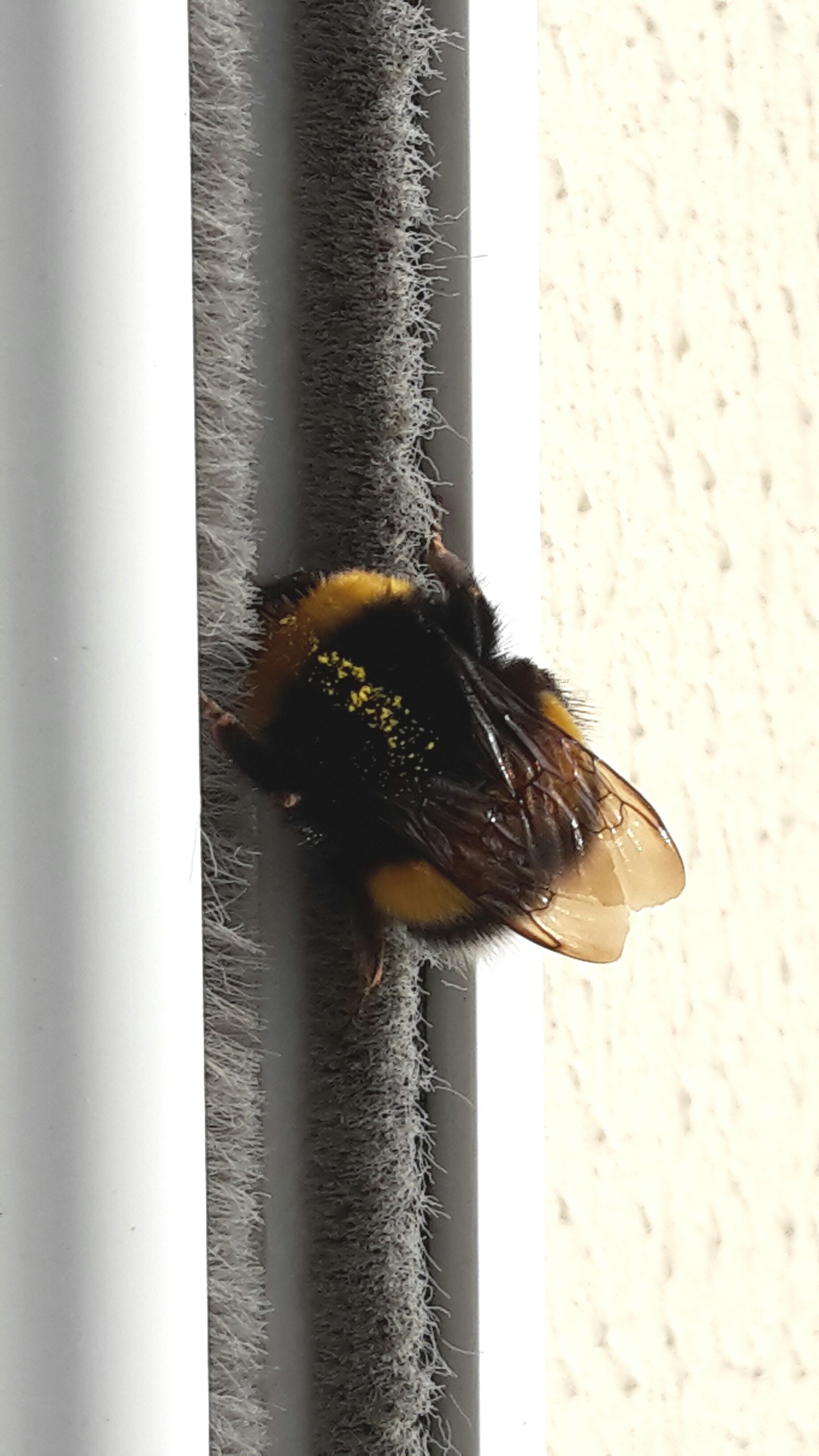 2016-10-22 18.19.36.jpg