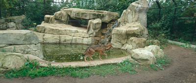 Sony Xperia XZ loup en action.png Sony Xperia XZ loup en action.png