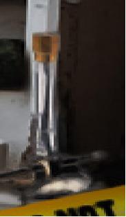 truc.JPG