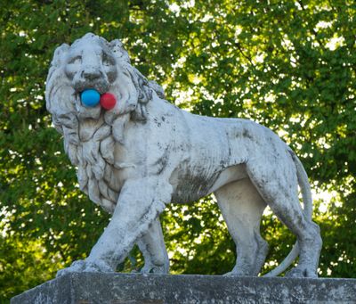 Lion au chewing-gum.jpg