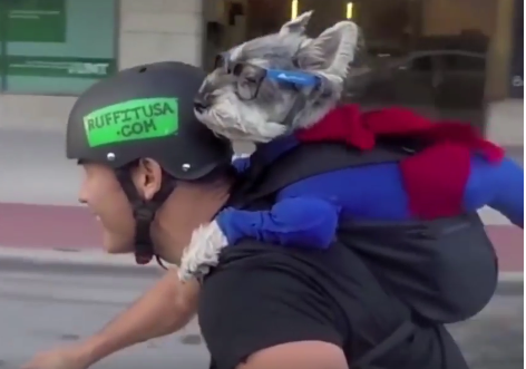 Capture d’écran 2017-04-07 à 18.07.38.png