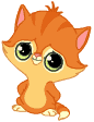 Chaton Salut.gif