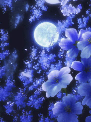 960276d162a407.gif