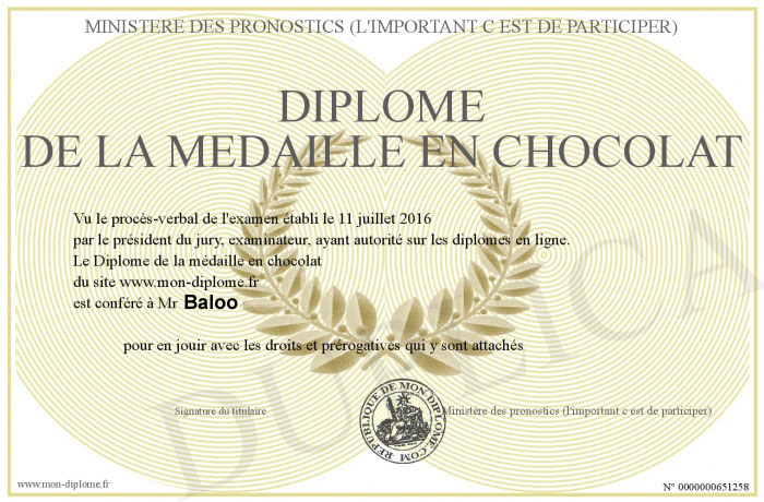 medaille copie.jpg