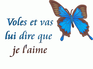 Papillon.gif