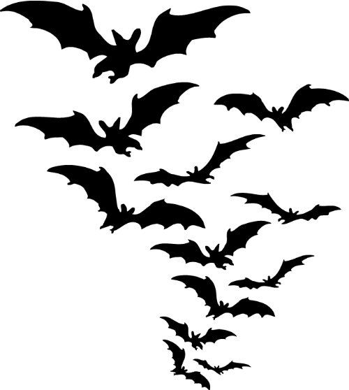 chauve-souris.png