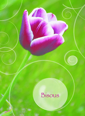 3173-Bisous avec une jolie fleur_medium.gif