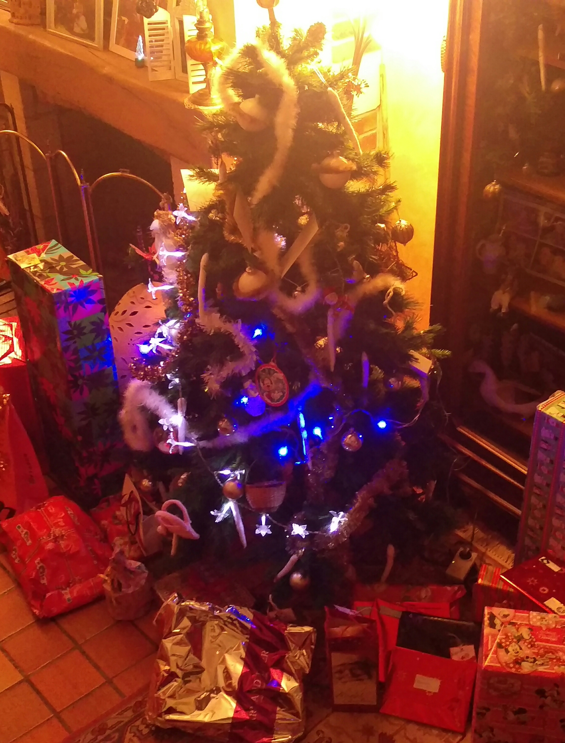 2019-04-06 04.18.03.jpg