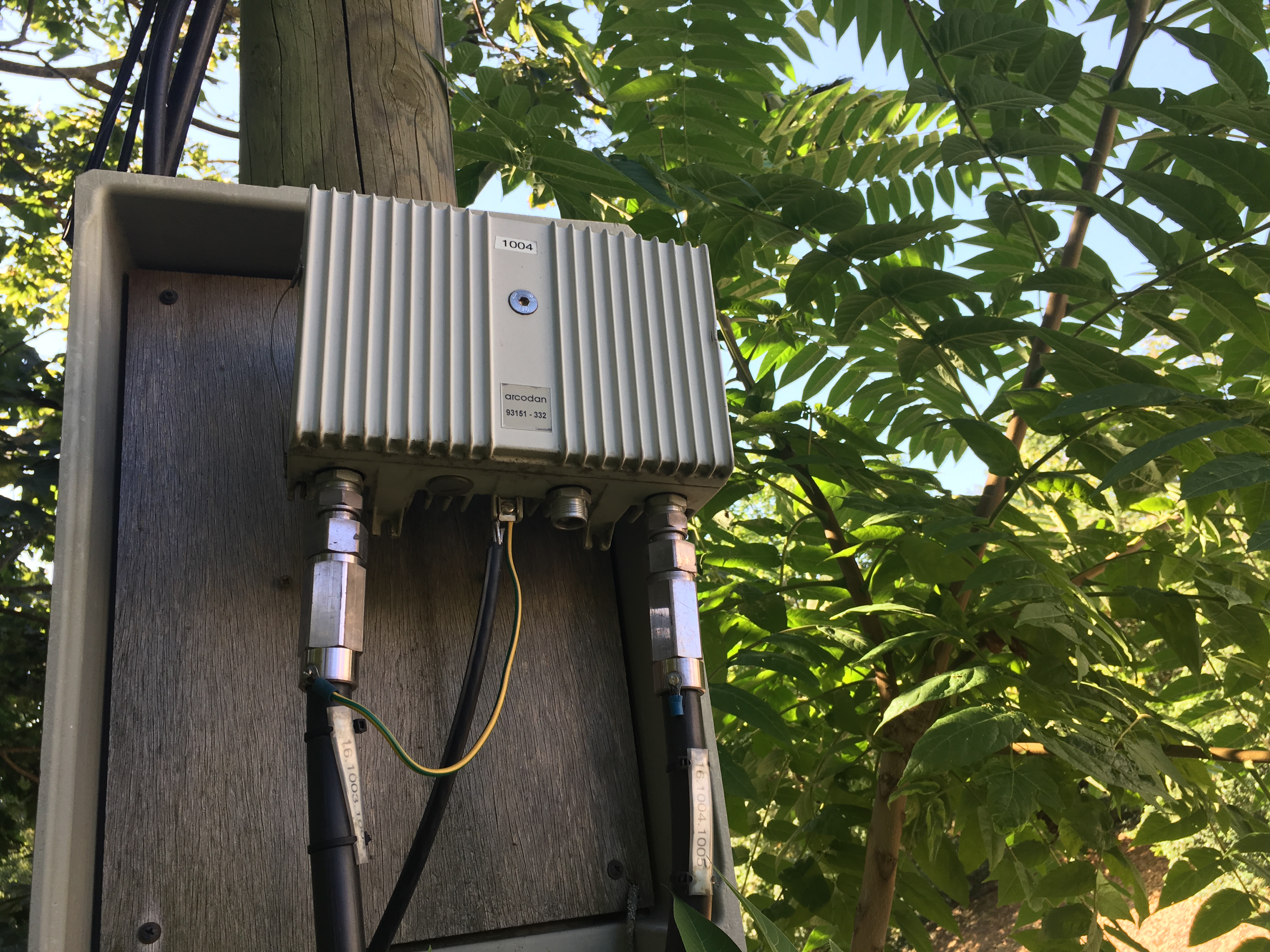 Photo 26-07-2019 09 52 51.jpg