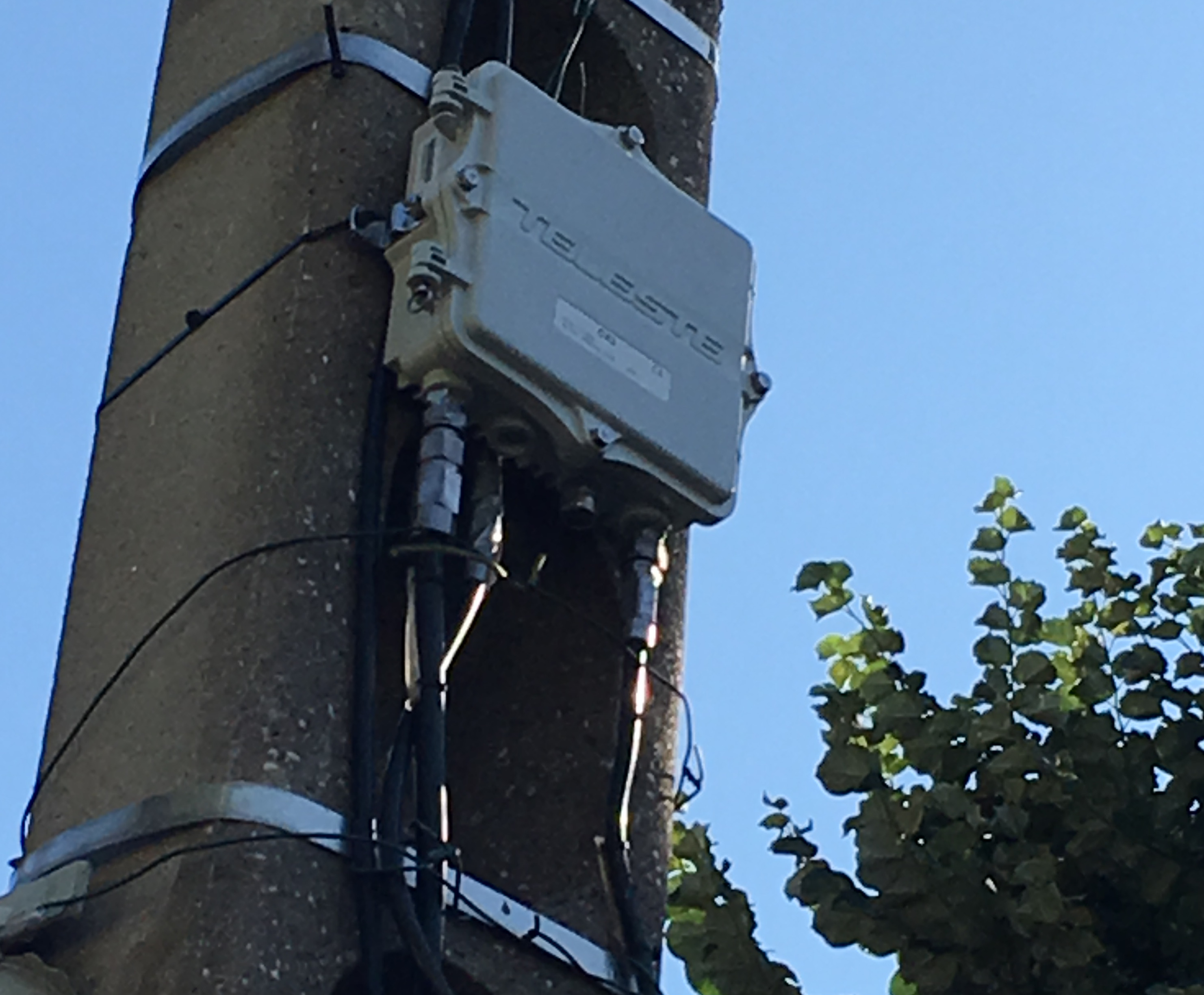 Photo 26-07-2019 09 49 28.jpg