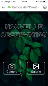 Magali_0-1594974752133.png Magali_0-1594974752133.png