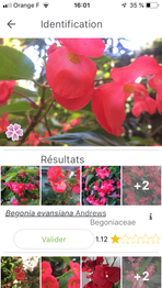 Magali_2-1594974751823.png Magali_2-1594974751823.png