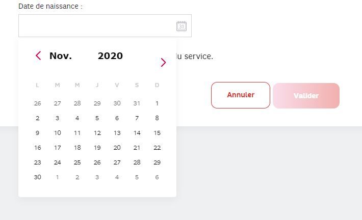 Capture date de naissance.JPG