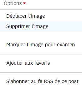 Capture  option pour image.JPG