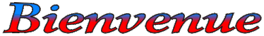 Bienvenue Animé.gif