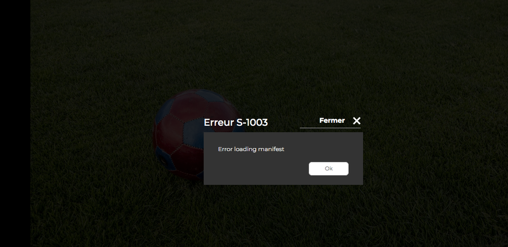 Capture d’écran 2021-01-08 à 12.23.18.png