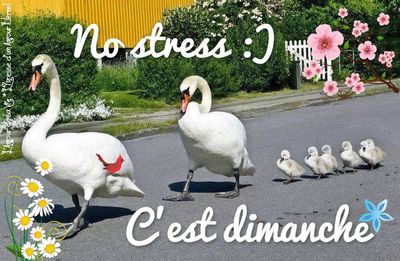 dimanche_079.jpg