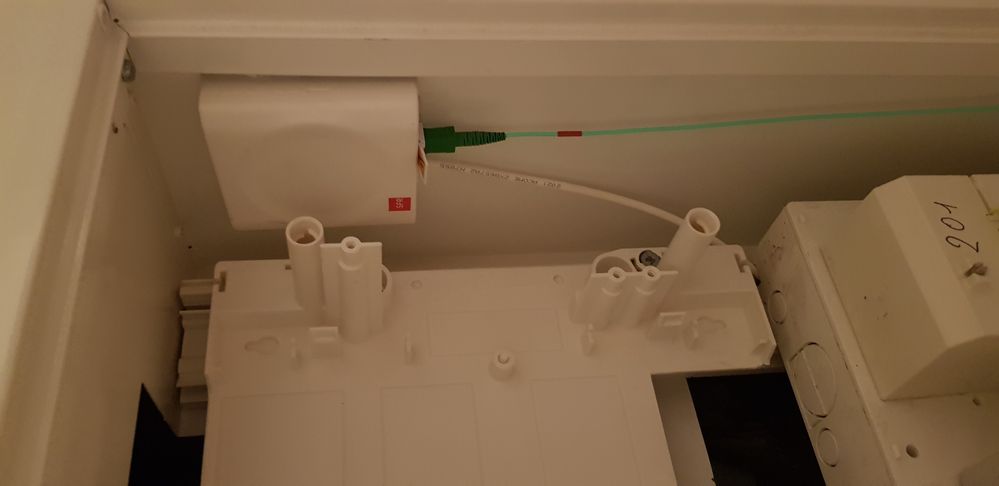 20210730_231841 (1).jpg