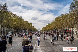 679770-champs-elysees-pieton-et-arc-de-triomphe-empaquete-5.jpg