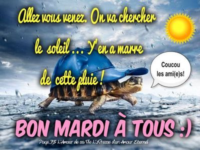 mardi_041.jpg