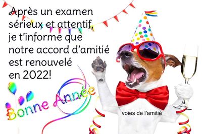 bonne-annee_065e.jpg