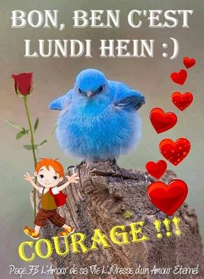 Bon courage à tous