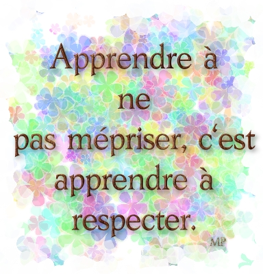 SFR_ne pas mépriser.jpg