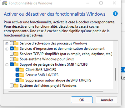 Capture d’écran 2022-02-12 210106 smb OK.png