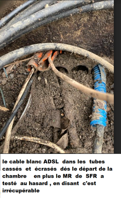 ligne  pourrie  dans  chambre 50