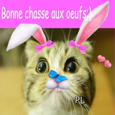 A bientôt les amis (es)