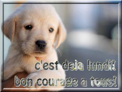 A bientôt les amis (es)