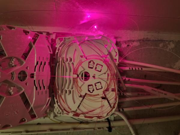 20220512_220311 (1).jpg