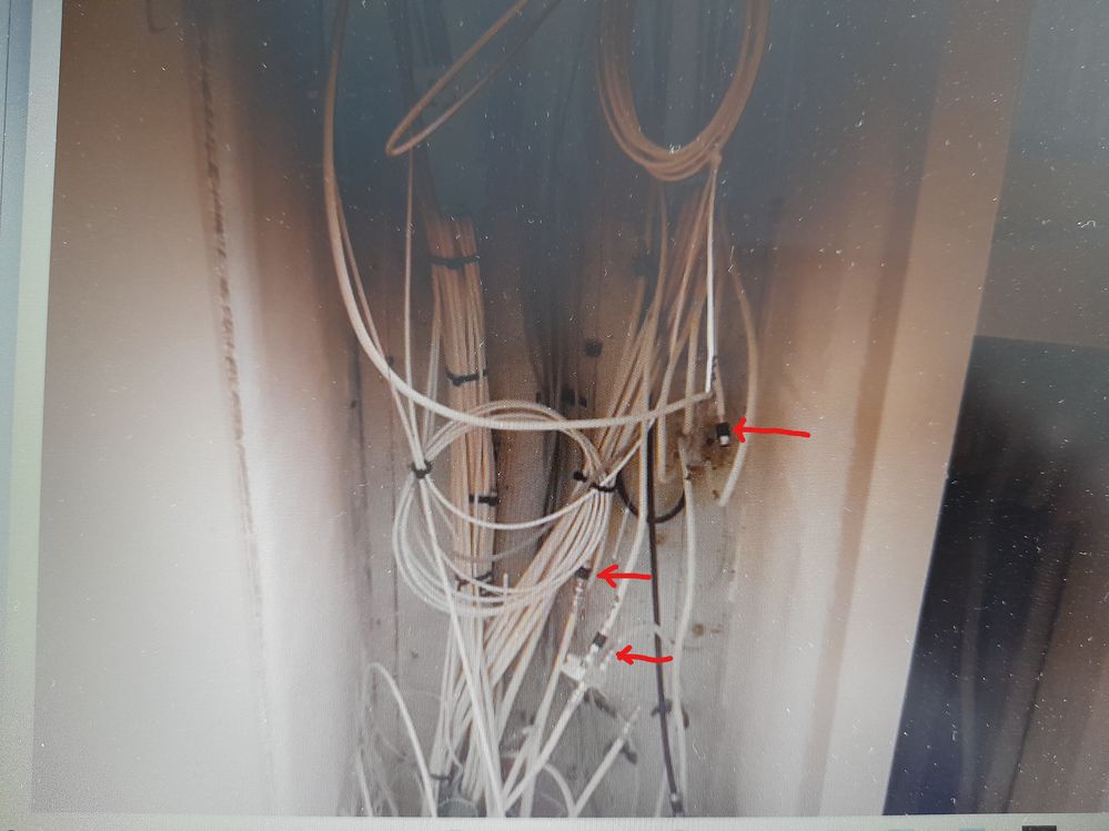 20230324_122339 (2).jpg