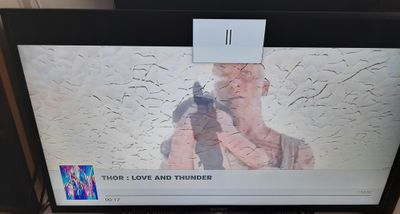 20230402_111853 (2).jpg