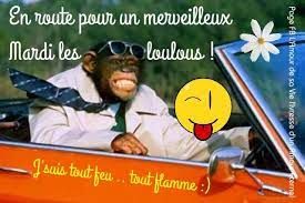 téléchargement (5).jpg