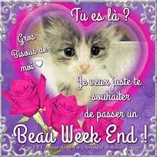 téléchargement (1).jpg