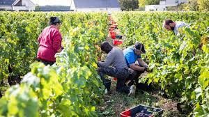 téléchargement (8).jpg