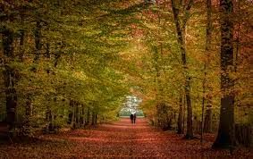 téléchargement (7).jpg