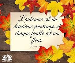 téléchargement (9).jpg