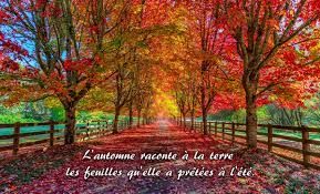 téléchargement (10).jpg